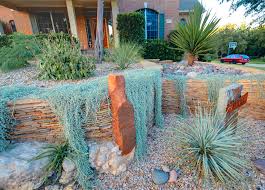 A Sampling Of A Terraced Xeriscape Yard That Includes Native Plants And Stones Xeriscape Landscaping Austin Lawn Service