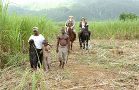 Slavery in the us began in the 1600's. The Rise And Fall Of The Slave Trade Openlearn Open University