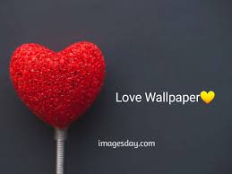 We have wallpapers that represent all varieties of love. Love Images Day
