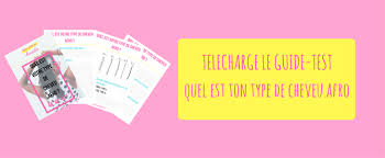 Telecharge Le Guide Testquel Est Ton Type De Cheveu Afro 2 Une Reine En Chaussettes Beaute Naturelle Des Cheveux Crepus Cheveux Crepus Type De Cheveu Cheveux