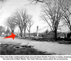 The Blue Beats" (during their later incarnation as "The #1"). Their single,  "The Collector", was released