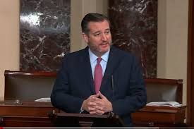Ted cruz showed his support for recently jailed stylist shelley luther by getting a haircut at her now controversial salon à la cruz told luther he hasn't had a haircut in about three months, and that his wife heidi even warned he would start bringing mullets. Senator Ted Cruz Grows Beard After Victory Over Beto O Rourke
