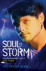 Amazon.com: Soul of Storm (The Thunderbird Legacy Book 3) eBook : Keyser  Horn, Erin: Kindle Store