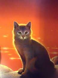 River Ripple 3 Warrior Cat Illustration Katze Kriegerin