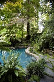 Rose S Backyard Tropically Gorgeous Garden Pool Pool Landscaping Outdoor