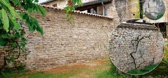 Tutoriel Comment Remonter Un Mur De Pierre En 2020 Mur En Pierre Parement Pierre Exterieur Pierre De Construction
