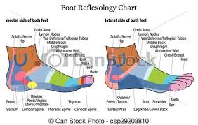 Foot Reflexology Side Profile Later