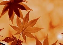 Stunning Linkedin Profile Backgrounds Free Download Ignoring them, especially the background image, is one of the biggest mistakes you can make. stunning linkedin profile backgrounds