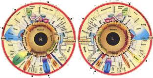 iridology an alternative medicine technique used to measure