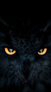 Pin By Westernasian On World Of Animals In 2020 Owl Wallpaper Eyes Wallpaper Owl Wallpaper Iphone