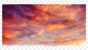Download beautiful sky sunset cloud free transparent image hd hq., free portable network graphics (png) archive. Beautiful Sky Sunset Cloud Free Clipart Hd Image Category Transparent Sunset Clouds Png Png Download 466647 Free Download On Pngix