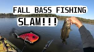 Pin On Fishing