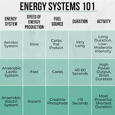 The role of carbohydrate fat and protein as fuels for aerobic and anaerobic energy production / vitamin b7 (biotin). How To Program The Most Effective Cardio For Your Clients Energy Syst