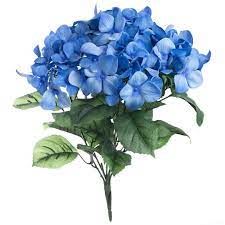 We did not find results for: Blue Hydrangea Bush By Ashland Michaels