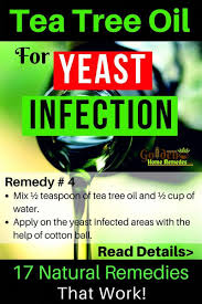 Tea Tree Oil For Yeast Infection How To Use Tea Tree Oil For Yeast Infection Benefitscoconutoil Yeast Infection Treat Yeast Infection Yeast Infection Relief