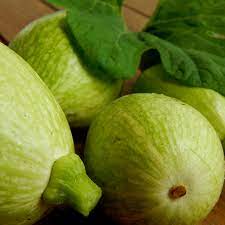 Cucurbita ficifolia , el chilacayote, es una especie trepadora de fruto comestible de la familia de las cucurbitáceas.es la especie más importante de calabazas en las regiones de grandes altitudes del neotrópico, incluyendo los siete países de sudamérica en los que se despliegan los andes. Chilacayote