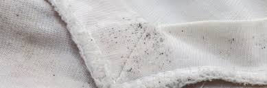 Washing your clothes in hot water and vinegar will kill about 80% of mold spores, and it will also help with the unpleasant moldy smell. How To Get Rid Of Mold On Clothes Servicemaster By Timeless