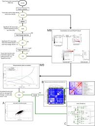 Flow Chart Of Dge Analysis Using Correlation Analysis And