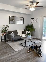 Forge a concrete paradise with living walls astride couches. How To Choose Gray Paint Colors Accent Colors For Rooms