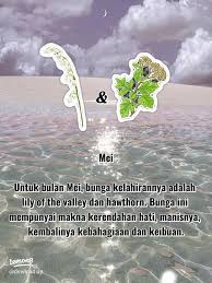 arti bulan kelahiran mu berdasarkan bunga💐 Part 1