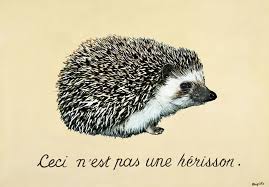 Magritte S Treachery Of Hedgehog Images Hedgehog Pet Hedgehog Tattoo Hedgehog