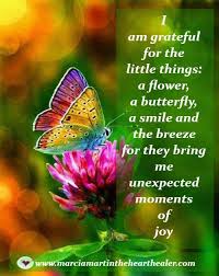 I Am Grateful For The Little Things A Flower A Butterfly A Smile And The Breeze For They Bring Me Unexpect Beautiful Butterflies Butterfly Rainbow Butterfly