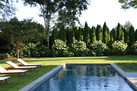 Backyard Pool Privacy Ideas Photos Houzz