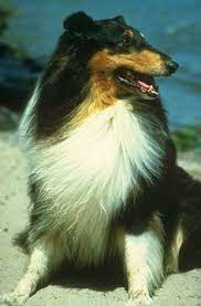 Rick Earleywine Rearleywine - Profile Pinterest