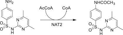 We did not find results for: Glossary And Tutorial Of Xenobiotic Metabolism Terms Used During Small Molecule Drug Discovery And Development Iupac Technical Report