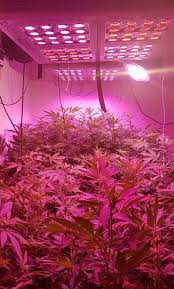 Pin On Mars Hydro Cob