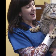 Fat cats: pictures of tubby tabbies and other flabby felines