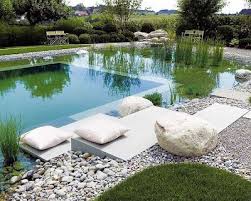 If The Lamp Shade Fits Natural Swimming Pools Natural Swimming Pools Natural Pool Swimming Pool Designs