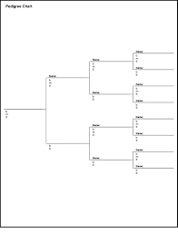 12 Valid Four Generation Family Tree Pedigree Chart