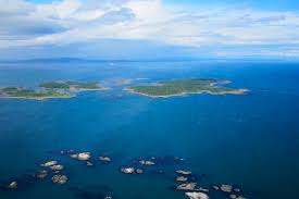 Discovery island was an iconic part of the walt disney world resort for 25 years. Mowi Begins Culling Fish Stock Files Injunction To Delay Discovery Islands Closure Hatchery International