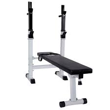 Buy CCLIFE Adjustable Multifunctional Weight Bench Foldable Workout with  Bar Support Dip Station Online at desertcartOMAN