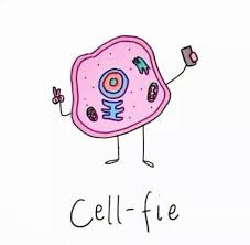 Cell Fie Biology Jokes Biology Humor Science Puns