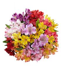 Send Most Wonderful Christmas Gifts To Your Loved Ones And Make Their Day Brighter Happier Www H Flower Delivery Online Flower Delivery Online Flower Shop