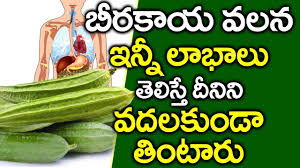 Search arsenal definition & word meaning in english. Newest Aloe Vera Juice Benefits In Telugu Sale Off 55