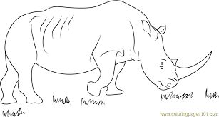 Check spelling or type a new query. African Black Rhino Coloring Page For Kids Free Rhinoceros Printable Coloring Pages Online For Kids Coloringpages101 Com Coloring Pages For Kids