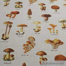 New york had the highest population of pilz families in 1880. Baumwolle Polyester Rips Natur Pilz Stoff Am Stuck