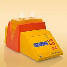 Image result for Dissotis gilgiana