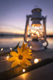 Summer Feeling Pretty Wallpapers Beautiful Wallpapers Backgrounds Beautiful Wallpapers