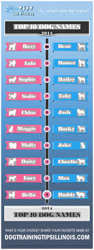 Choose a taiwanese name for your child and watch her. Top Ten Dog Names For 2014 Male And Female Breed