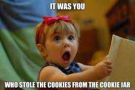 it was you who stole the cookies from the cookie jar - Misc - quickmeme