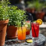 Plant a Mocktail Garden
