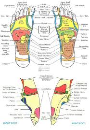 Reflexology Chart Foot Reflexology Reflexology