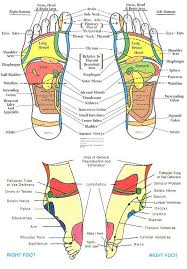 reflexology chart head to feet reflexology foot chart