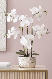 Do you still avoid using faux blossoms, since they are known for their unnatural appearance? Buy Artificial Orchid In Hexagon Pot From The Next Uk Online Shop Artificial Orchids Artificial Flower Arrangements Cheap Artificial Flowers