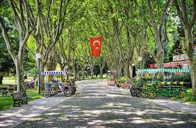 botanik park park fotograf cerceve