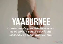 20 Palabras Que Necesitas En Tu Vida Pero Que No Existen En Tu Idioma Palabras Extranas Palabras Palabras Cultas